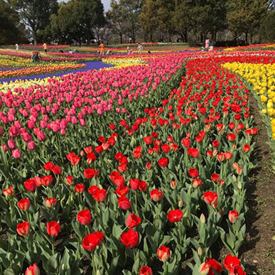 国営木曽三川公園